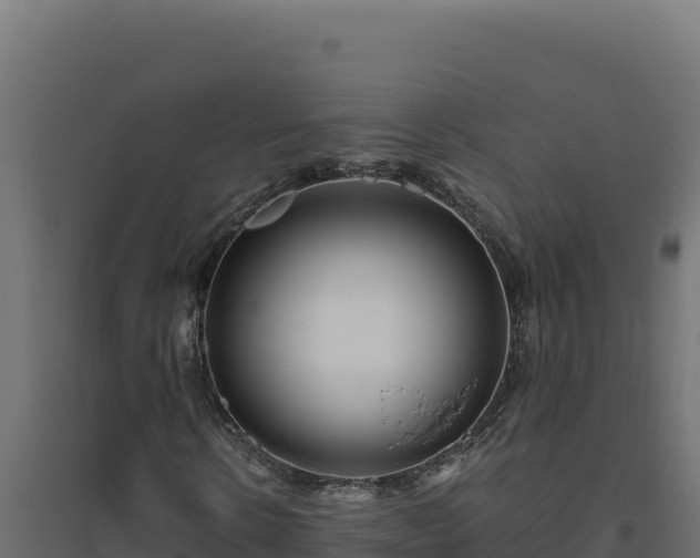 X0000094780914200711241335