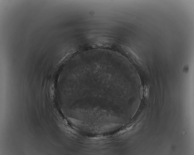 X0000094780915200711241335