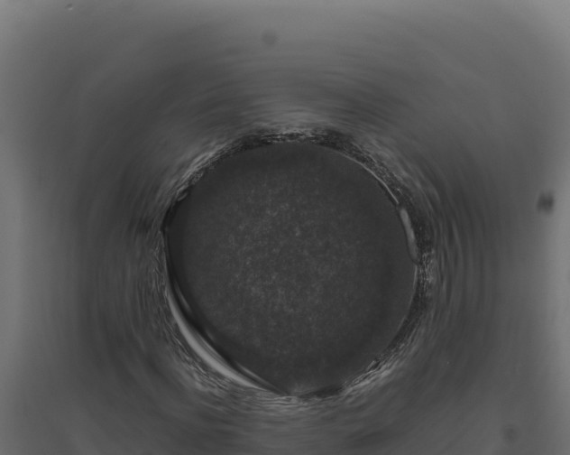 X0000094780916200711241335