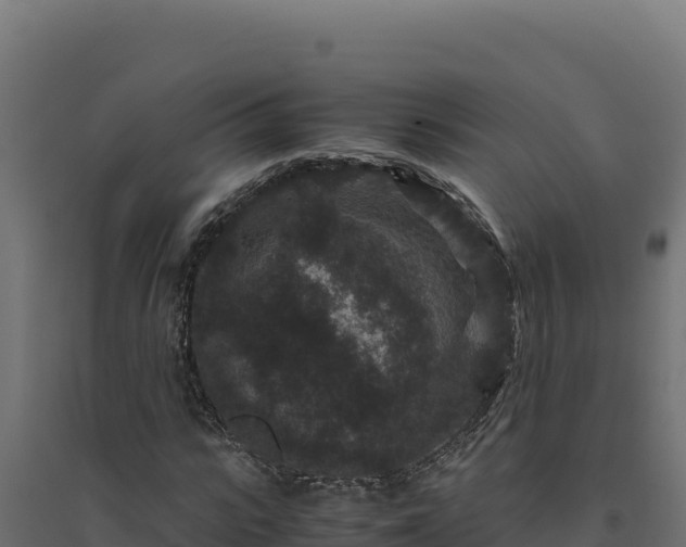 X0000094780919200711241336