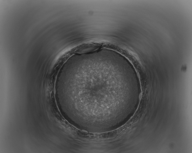 X0000094780920200711241336