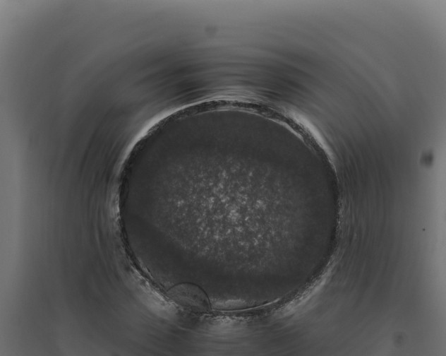 X0000094780923200711241336