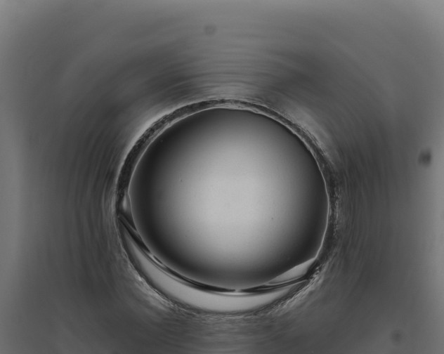 X0000094780924200711241336