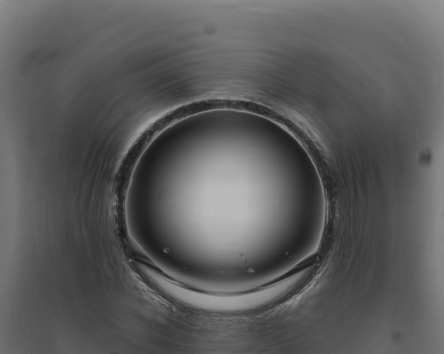 X0000094780926200711241336