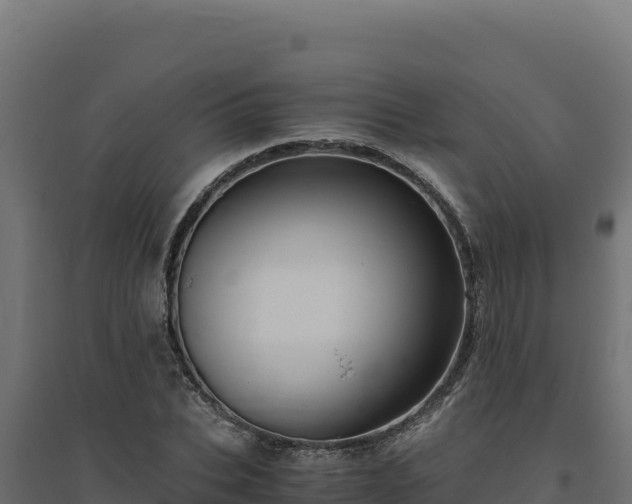 X0000094780927200711241336