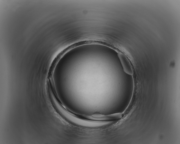 X0000094780928200711241336