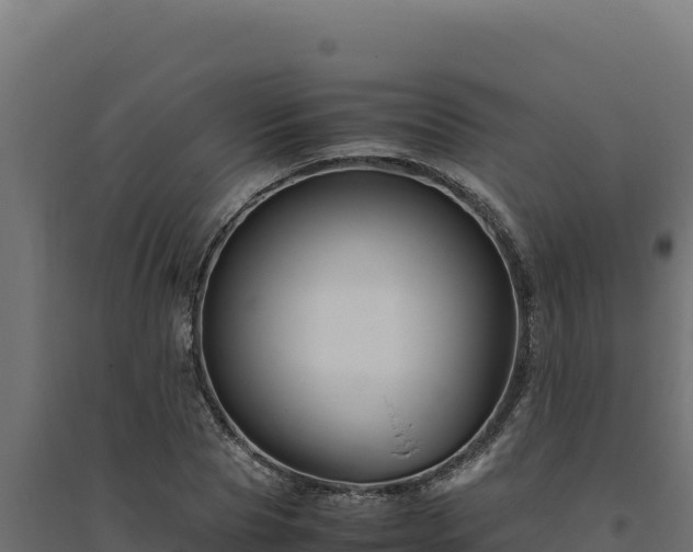 X0000094780929200711241336