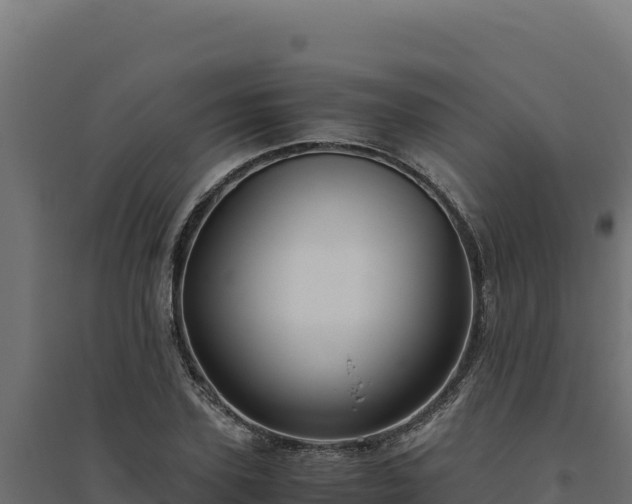 X0000094780931200711241336