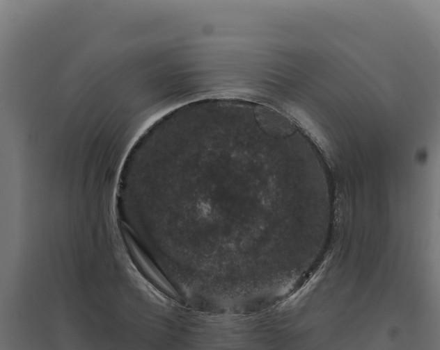 X0000094780932200711241336