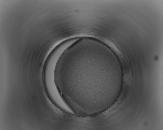 X0000094780934200711241336