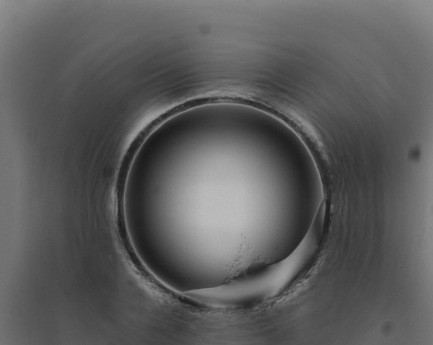 X0000094780936200711241336
