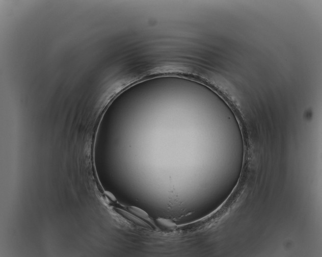 X0000094780937200711241336