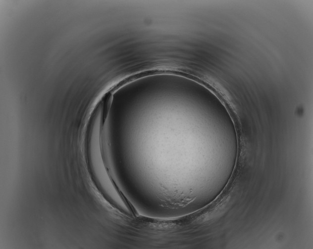 X0000094780939200711241336