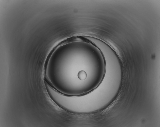 X0000094780940200711241336