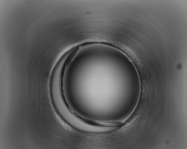X0000094780942200711241336