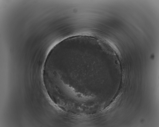 X0000094780944200711241336