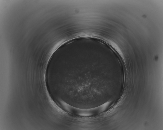 X0000094780946200711241336