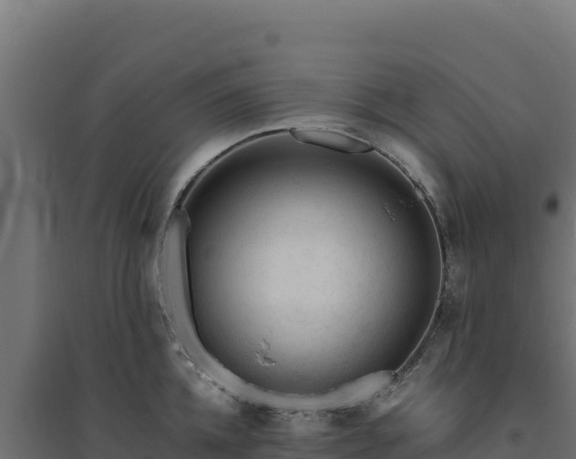 X0000094780952200711241336