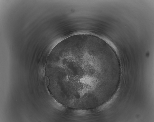 X0000094780953200711241336