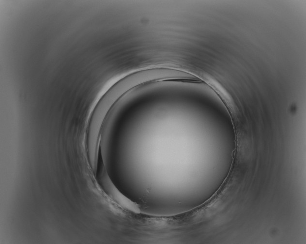 X0000094780956200711241336