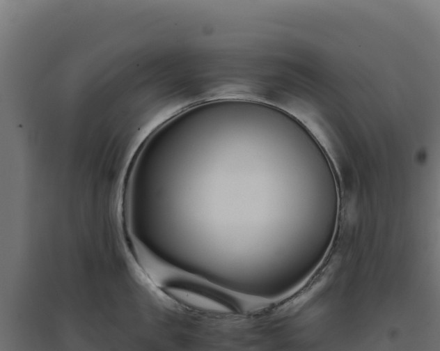 X0000094780957200711241336