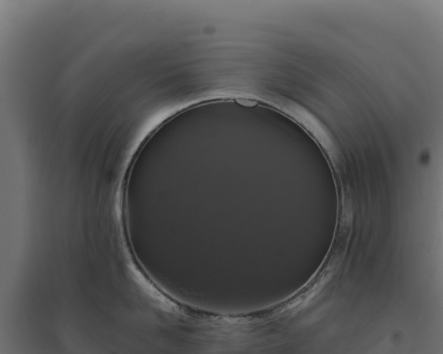 X0000094780958200711241336