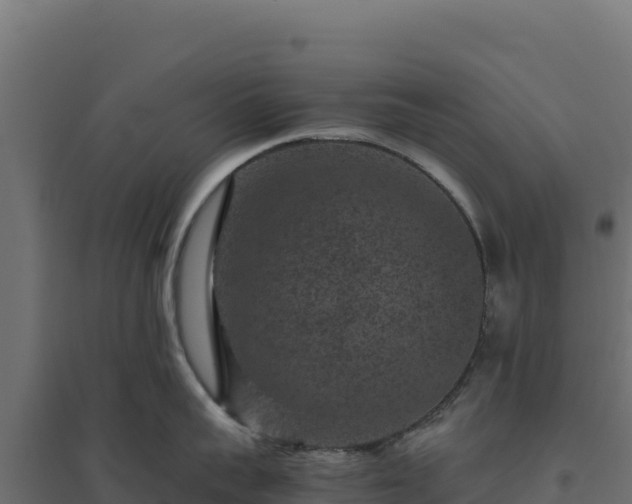X0000094780959200711241336