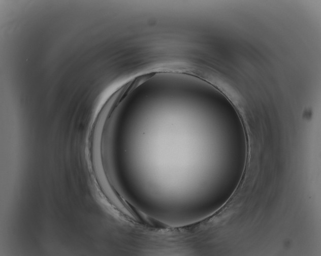 X0000094780960200711241336