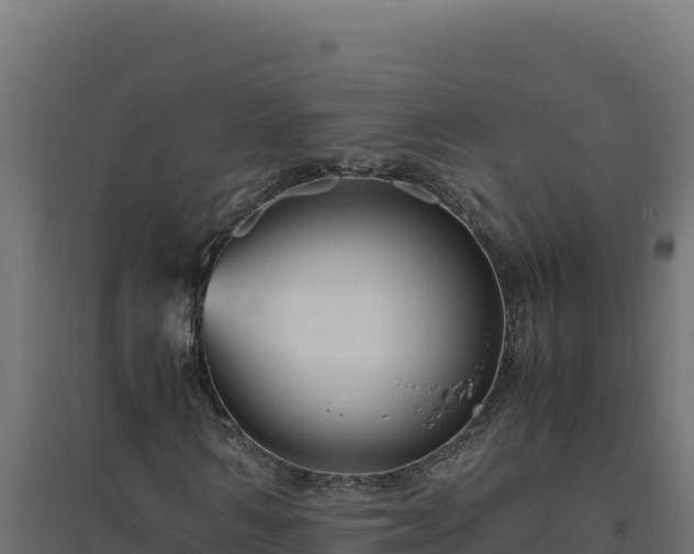 X0000094780962200711241335