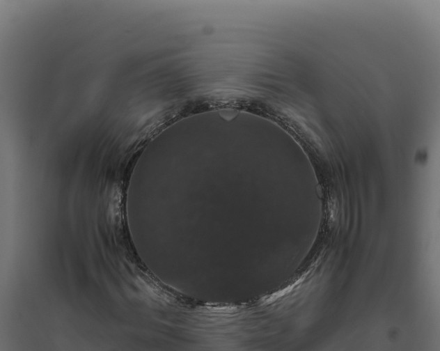 X0000094780964200711241335