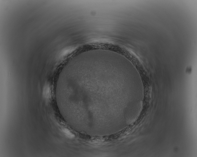 X0000094780965200711241335