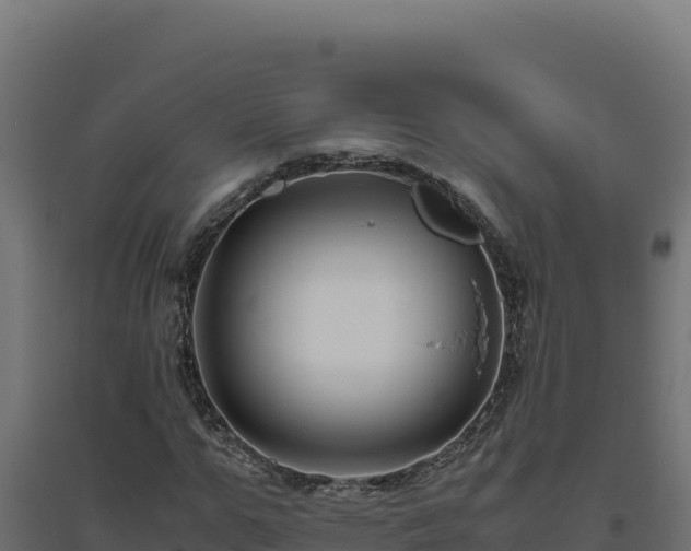 X0000094780967200711241335