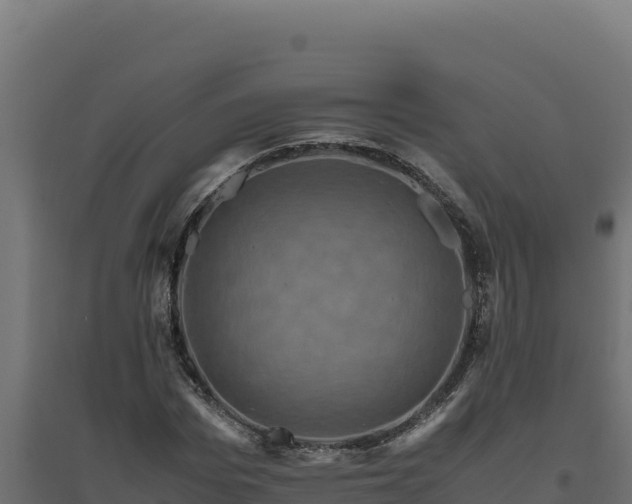 X0000094780969200711241335