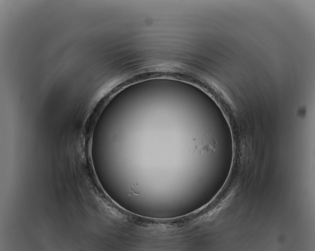 X0000094780970200711241335