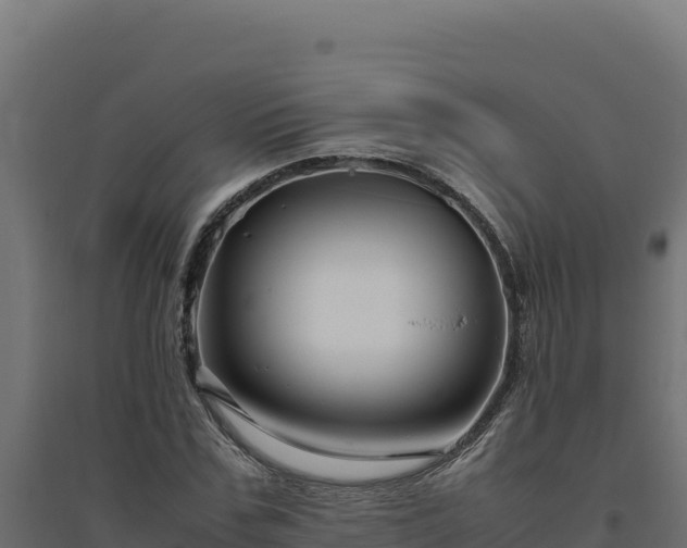 X0000094780971200711241335