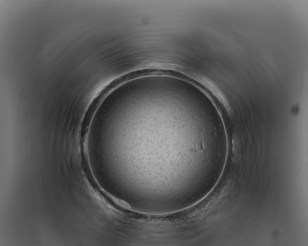 X0000094780972200711241335