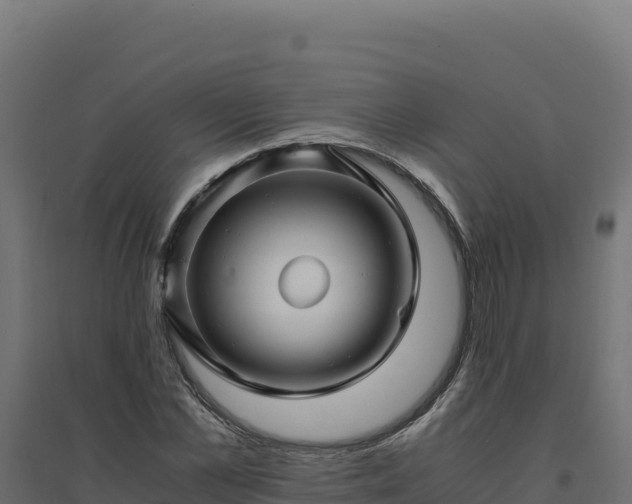 X0000094780973200711241335
