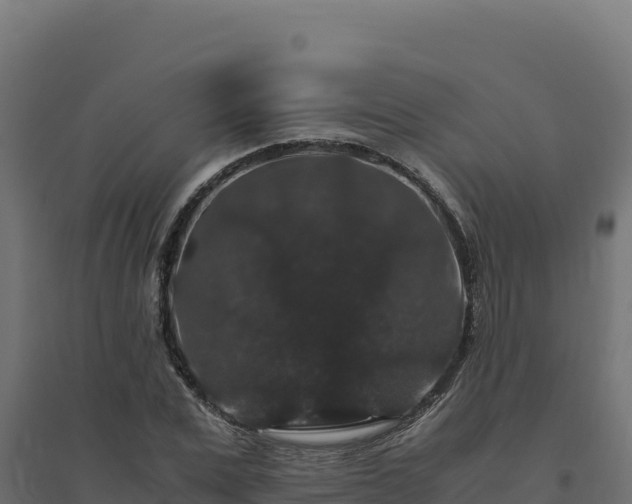 X0000094780975200711241335