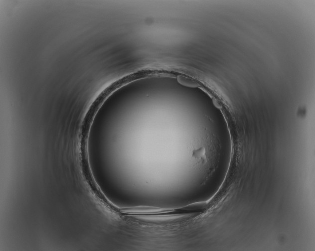 X0000094780976200711241335
