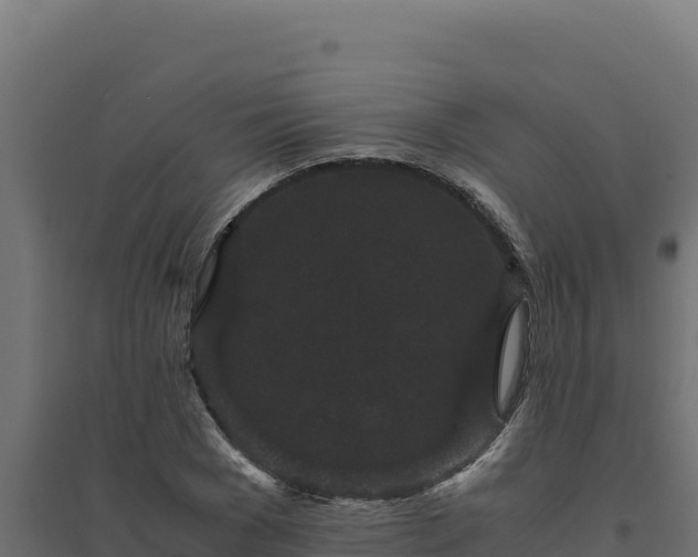 X0000094780977200711241335