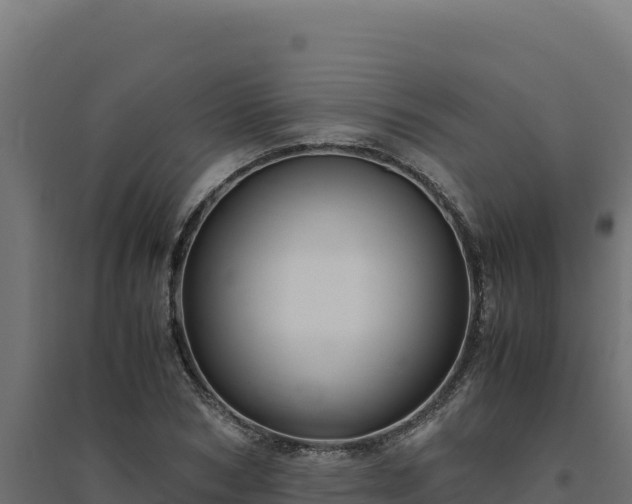 X0000094780978200711241335