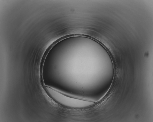 X0000094780980200711241335