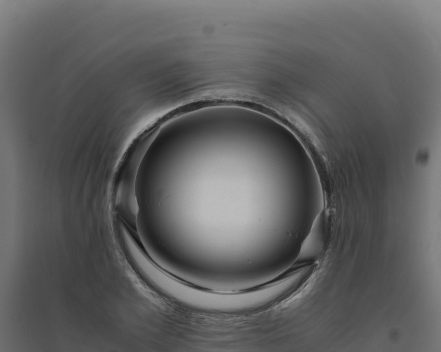 X0000094780981200711241335