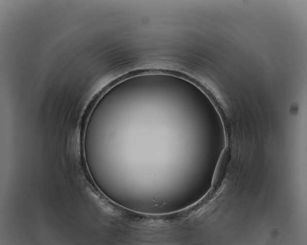 X0000094780982200711241335