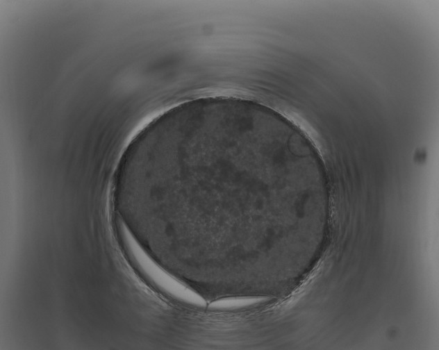 X0000094780983200711241335