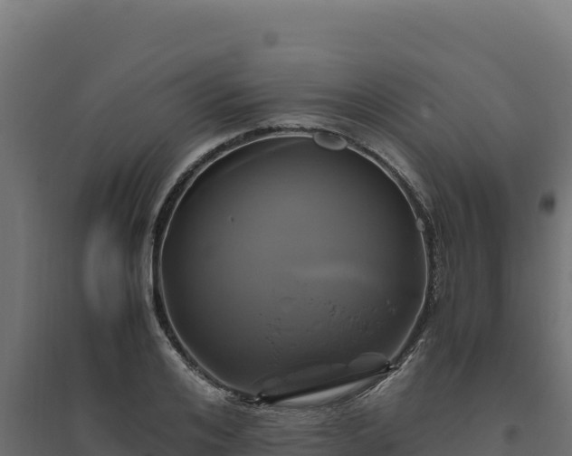 X0000094780984200711241335