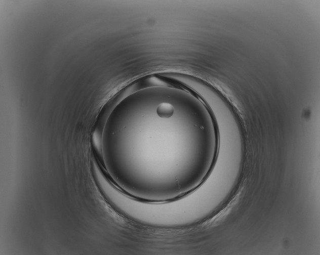 X0000094780985200711241335
