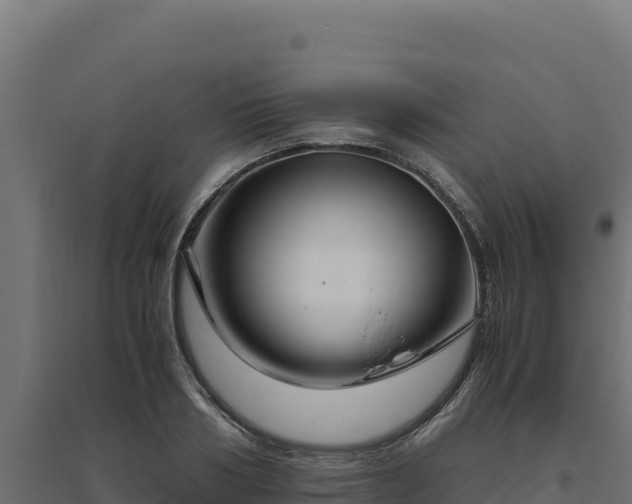 X0000094780986200711241335