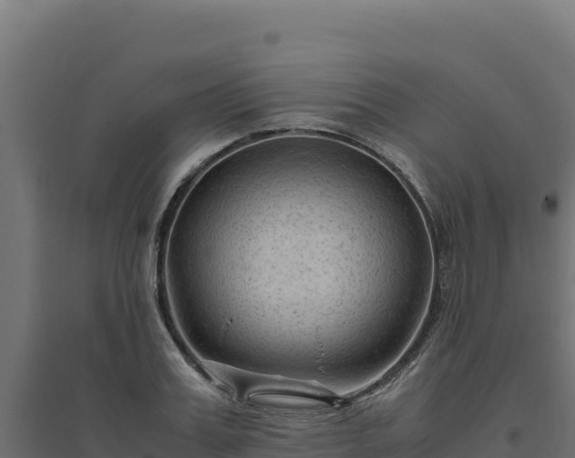 X0000094780987200711241335
