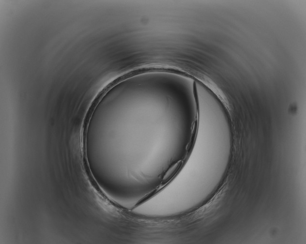 X0000094780988200711241335